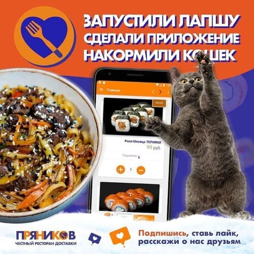 Изображение для статьи - Лапша! Котики! Приложение!