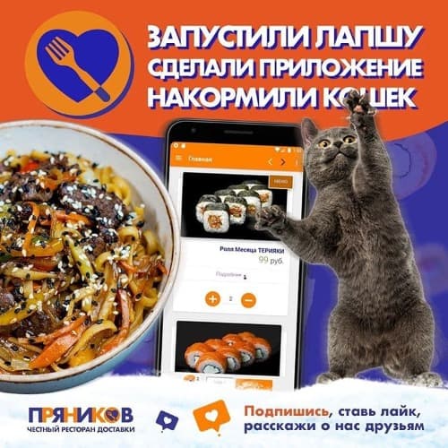 Изображение статьи - Лапша! Котики! Приложение!